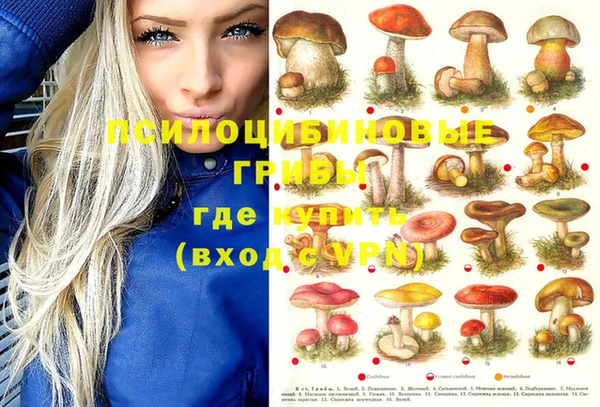 прущий лед Алексин