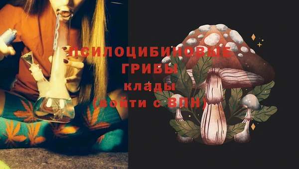 прущий лед Алексин